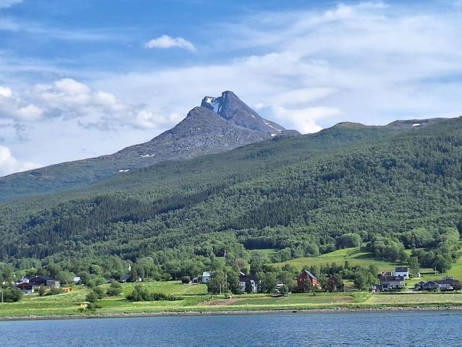 Privat Leilighet Pa Gard Med Badstue Og Nordlys Narvik Luaran gambar